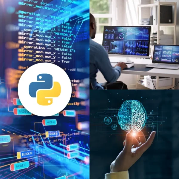 Ai Starter Pack (Python Programming + DS + ML)